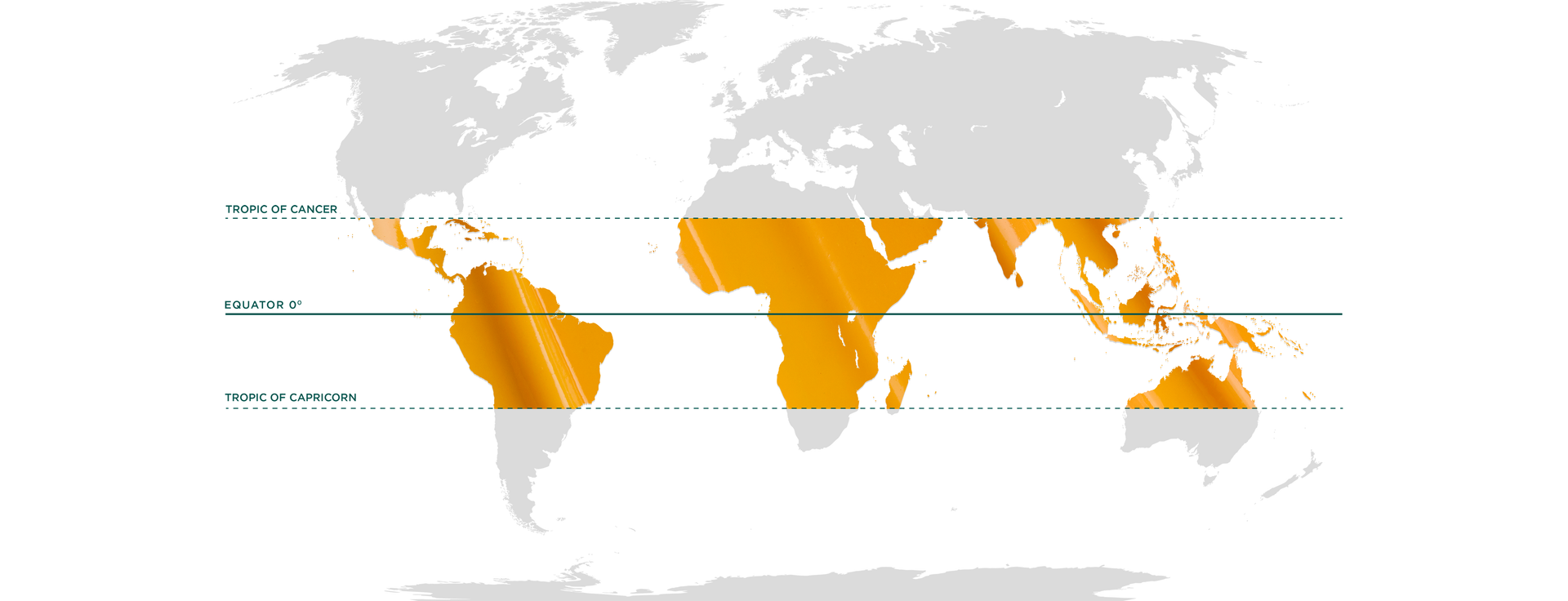 This is the world map. The top half is shaded in greyscale and with centre section from tropic of cancer, equator and tropic of Capricorn is filled in orange texture. Below is also greyscale shaded. This is to show that our ingredients are from this section of the world.